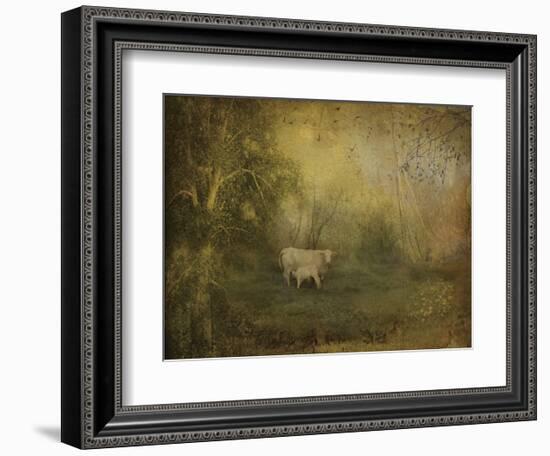 Tendre Charolais-Dawne Polis-Framed Art Print