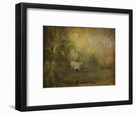 Tendre Charolais-Dawne Polis-Framed Art Print