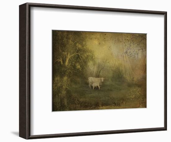 Tendre Charolais-Dawne Polis-Framed Art Print