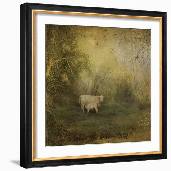 Tendre Charolais-Dawne Polis-Framed Art Print