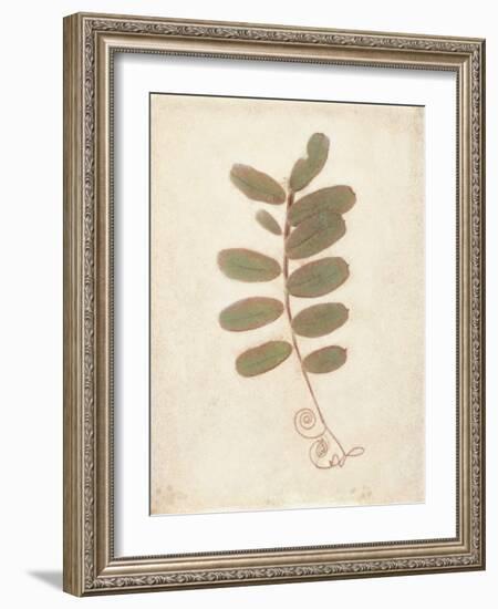 Tendril-Amy Melious-Framed Art Print