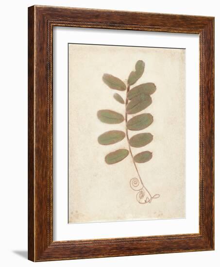 Tendril-Amy Melious-Framed Art Print