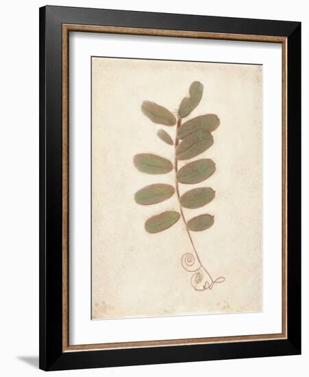 Tendril-Amy Melious-Framed Art Print