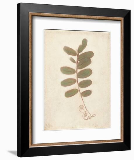 Tendril-Amy Melious-Framed Art Print