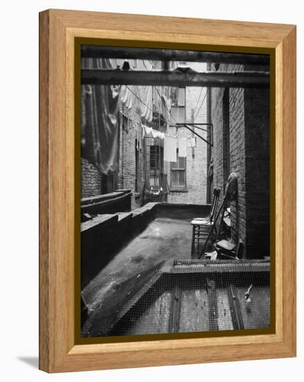 Tenement dwelling New York City, 1936-Dorothea Lange-Framed Premier Image Canvas