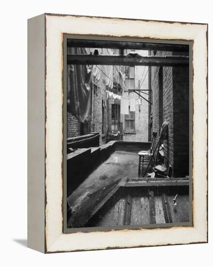 Tenement dwelling New York City, 1936-Dorothea Lange-Framed Premier Image Canvas