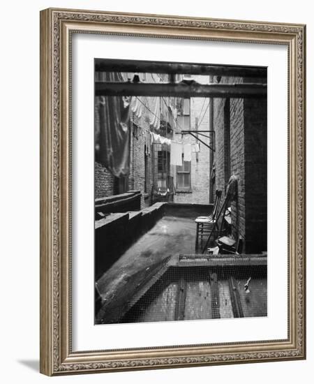 Tenement dwelling New York City, 1936-Dorothea Lange-Framed Photographic Print