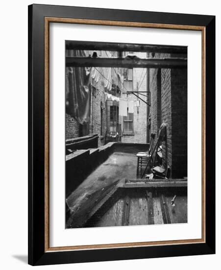 Tenement dwelling New York City, 1936-Dorothea Lange-Framed Photographic Print