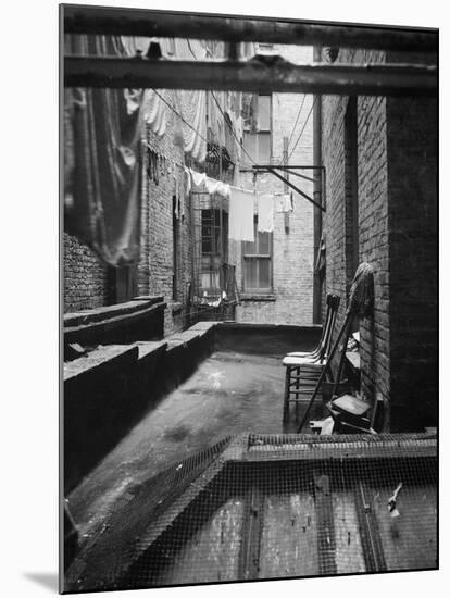 Tenement dwelling New York City, 1936-Dorothea Lange-Mounted Premium Photographic Print