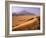 Tenere Desert, Camel Caravan Travelling Through the Air Mountains and Tenere Desert, Niger-Paul Harris-Framed Photographic Print