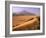 Tenere Desert, Camel Caravan Travelling Through the Air Mountains and Tenere Desert, Niger-Paul Harris-Framed Photographic Print