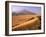 Tenere Desert, Camel Caravan Travelling Through the Air Mountains and Tenere Desert, Niger-Paul Harris-Framed Photographic Print