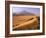 Tenere Desert, Camel Caravan Travelling Through the Air Mountains and Tenere Desert, Niger-Paul Harris-Framed Photographic Print