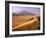 Tenere Desert, Camel Caravan Travelling Through the Air Mountains and Tenere Desert, Niger-Paul Harris-Framed Photographic Print