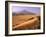 Tenere Desert, Camel Caravan Travelling Through the Air Mountains and Tenere Desert, Niger-Paul Harris-Framed Photographic Print