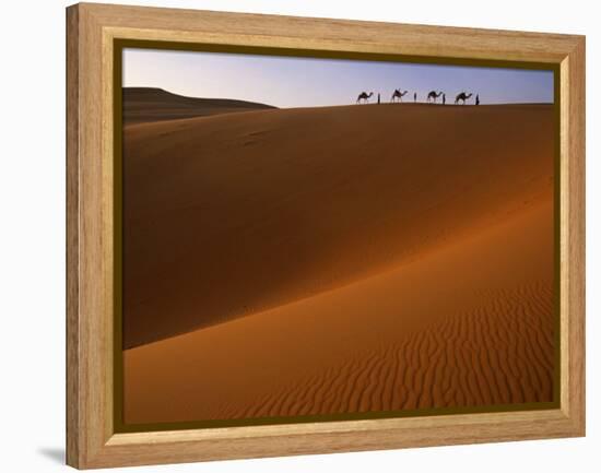 Tenere Desert, Camel Caravan Travelling Through the Air Mountains and Tenere Desert, Niger-Paul Harris-Framed Premier Image Canvas