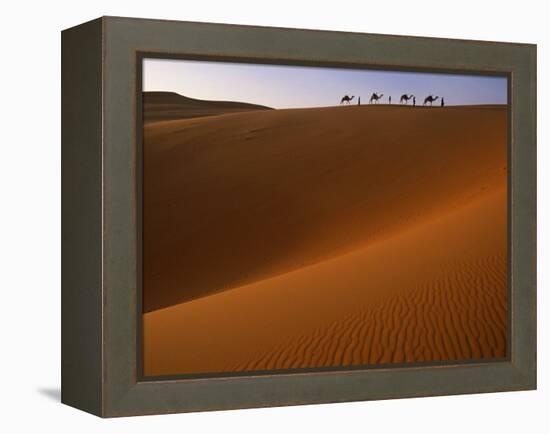 Tenere Desert, Camel Caravan Travelling Through the Air Mountains and Tenere Desert, Niger-Paul Harris-Framed Premier Image Canvas