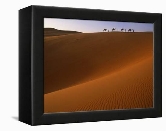 Tenere Desert, Camel Caravan Travelling Through the Air Mountains and Tenere Desert, Niger-Paul Harris-Framed Premier Image Canvas