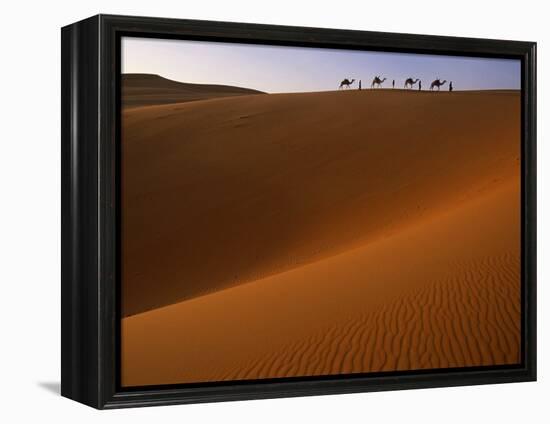 Tenere Desert, Camel Caravan Travelling Through the Air Mountains and Tenere Desert, Niger-Paul Harris-Framed Premier Image Canvas