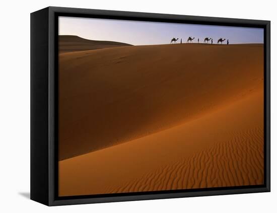 Tenere Desert, Camel Caravan Travelling Through the Air Mountains and Tenere Desert, Niger-Paul Harris-Framed Premier Image Canvas