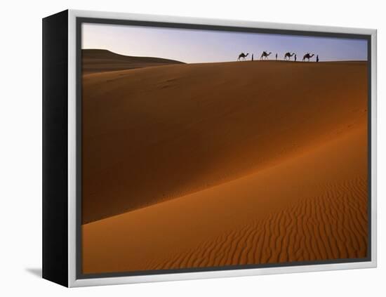 Tenere Desert, Camel Caravan Travelling Through the Air Mountains and Tenere Desert, Niger-Paul Harris-Framed Premier Image Canvas