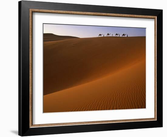 Tenere Desert, Camel Caravan Travelling Through the Air Mountains and Tenere Desert, Niger-Paul Harris-Framed Photographic Print