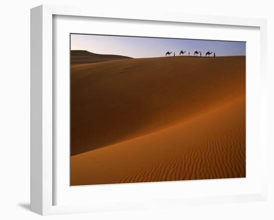 Tenere Desert, Camel Caravan Travelling Through the Air Mountains and Tenere Desert, Niger-Paul Harris-Framed Photographic Print