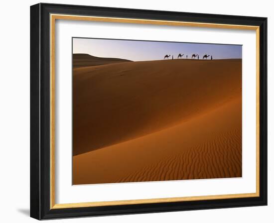 Tenere Desert, Camel Caravan Travelling Through the Air Mountains and Tenere Desert, Niger-Paul Harris-Framed Photographic Print