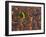 Tenere Desert, New Growth in the Tenere Desert, Niger-Paul Harris-Framed Photographic Print