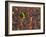 Tenere Desert, New Growth in the Tenere Desert, Niger-Paul Harris-Framed Photographic Print