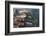 Tenerife, Five Star Hotel, Swimming Pools, La Caleta, Playa De La Enramada-Frank Fleischmann-Framed Photographic Print