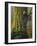 Tengmalms Owls-Harro Maass-Framed Giclee Print