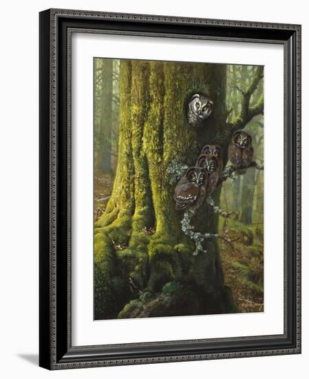 Tengmalms Owls-Harro Maass-Framed Giclee Print