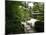 Tenjuan Garden in Nanzen Ji Temple, Kyoto, Japan, Asia-null-Mounted Photographic Print