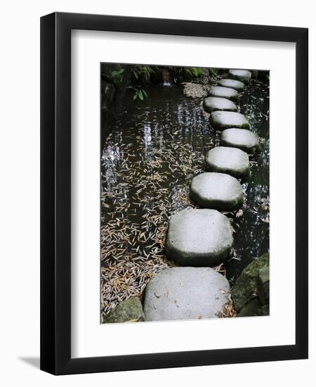 Tenjuan Wet Garden in Nanzen Ji Temple, Kyoto, Japan, Asia-null-Framed Photographic Print