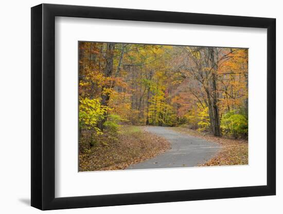 Tennessee, Falls Creek Falls SP. Road Through Forest in Autumn-Don Paulson-Framed Photographic Print