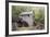 Tennessee, Great Smoky Mountains, Cades Cove, John P. Cable Grist Mill-Jamie & Judy Wild-Framed Photographic Print