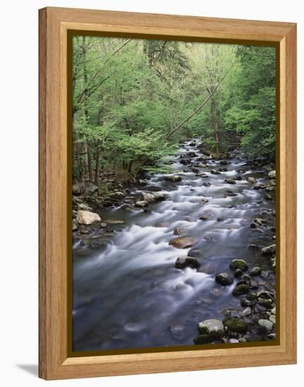 Tennessee, Great Smoky Mountains National Park, a Mountain Stream-Christopher Talbot Frank-Framed Premier Image Canvas