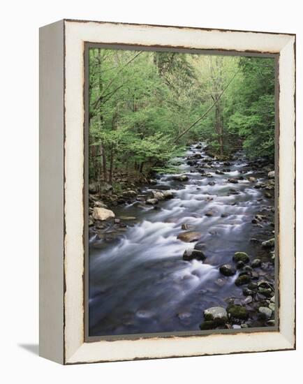 Tennessee, Great Smoky Mountains National Park, a Mountain Stream-Christopher Talbot Frank-Framed Premier Image Canvas