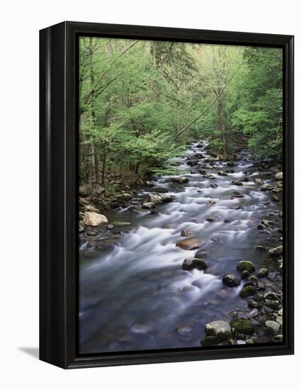 Tennessee, Great Smoky Mountains National Park, a Mountain Stream-Christopher Talbot Frank-Framed Premier Image Canvas
