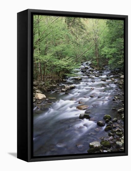 Tennessee, Great Smoky Mountains National Park, a Mountain Stream-Christopher Talbot Frank-Framed Premier Image Canvas