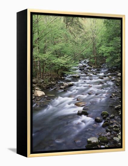 Tennessee, Great Smoky Mountains National Park, a Mountain Stream-Christopher Talbot Frank-Framed Premier Image Canvas