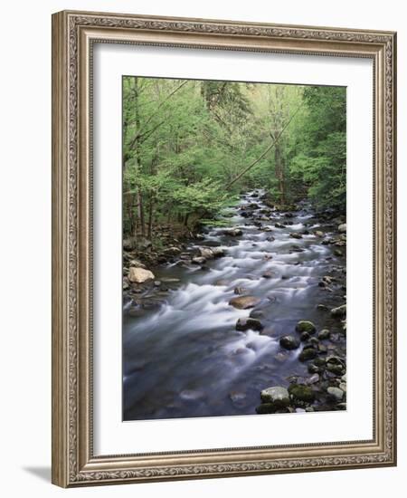 Tennessee, Great Smoky Mountains National Park, a Mountain Stream-Christopher Talbot Frank-Framed Photographic Print