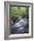 Tennessee, Great Smoky Mountains National Park, a Mountain Stream-Christopher Talbot Frank-Framed Photographic Print