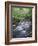 Tennessee, Great Smoky Mountains National Park, a Mountain Stream-Christopher Talbot Frank-Framed Photographic Print