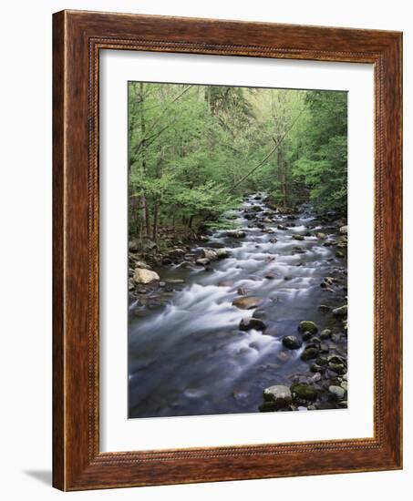 Tennessee, Great Smoky Mountains National Park, a Mountain Stream-Christopher Talbot Frank-Framed Photographic Print