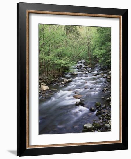 Tennessee, Great Smoky Mountains National Park, a Mountain Stream-Christopher Talbot Frank-Framed Photographic Print