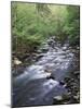 Tennessee, Great Smoky Mountains National Park, a Mountain Stream-Christopher Talbot Frank-Mounted Photographic Print