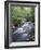 Tennessee, Great Smoky Mountains National Park, a Mountain Stream-Christopher Talbot Frank-Framed Photographic Print