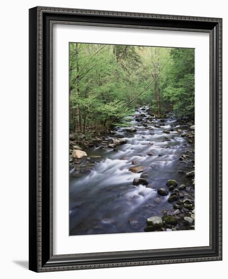 Tennessee, Great Smoky Mountains National Park, a Mountain Stream-Christopher Talbot Frank-Framed Photographic Print